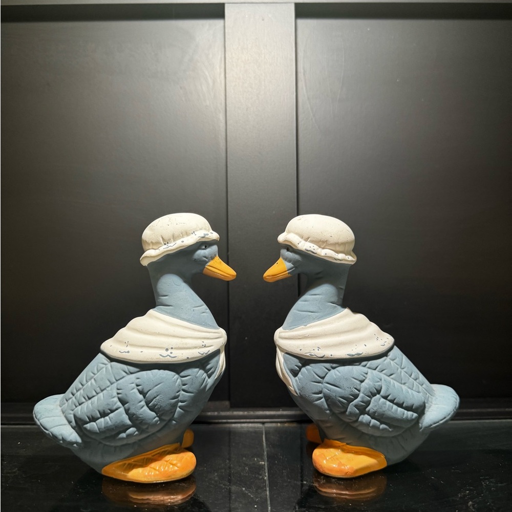 Charming Blue and White Duck Shakers